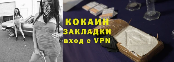 хмурый Дмитриев