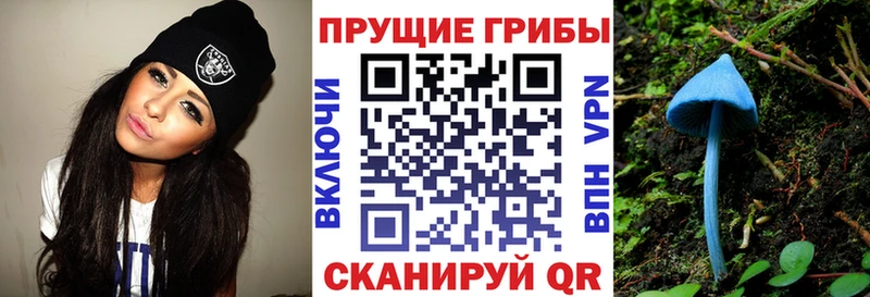 Псилоцибиновые грибы Magic Shrooms Старая Русса