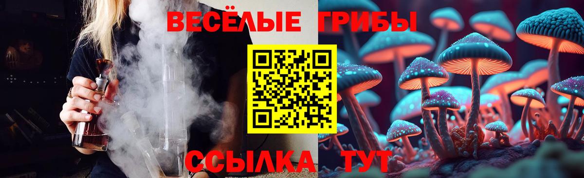 Галлюциногенные грибы Psilocybine cubensis  Вход с VPN  Старая Русса 